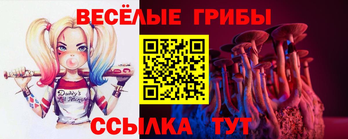 Верхняя Пышма  Галлюциногенные грибы MAGIC MUSHROOMS  Псилоцибиновые грибы Psilocybine cubensis  магазин продажи наркотиков  Вход с VPN 